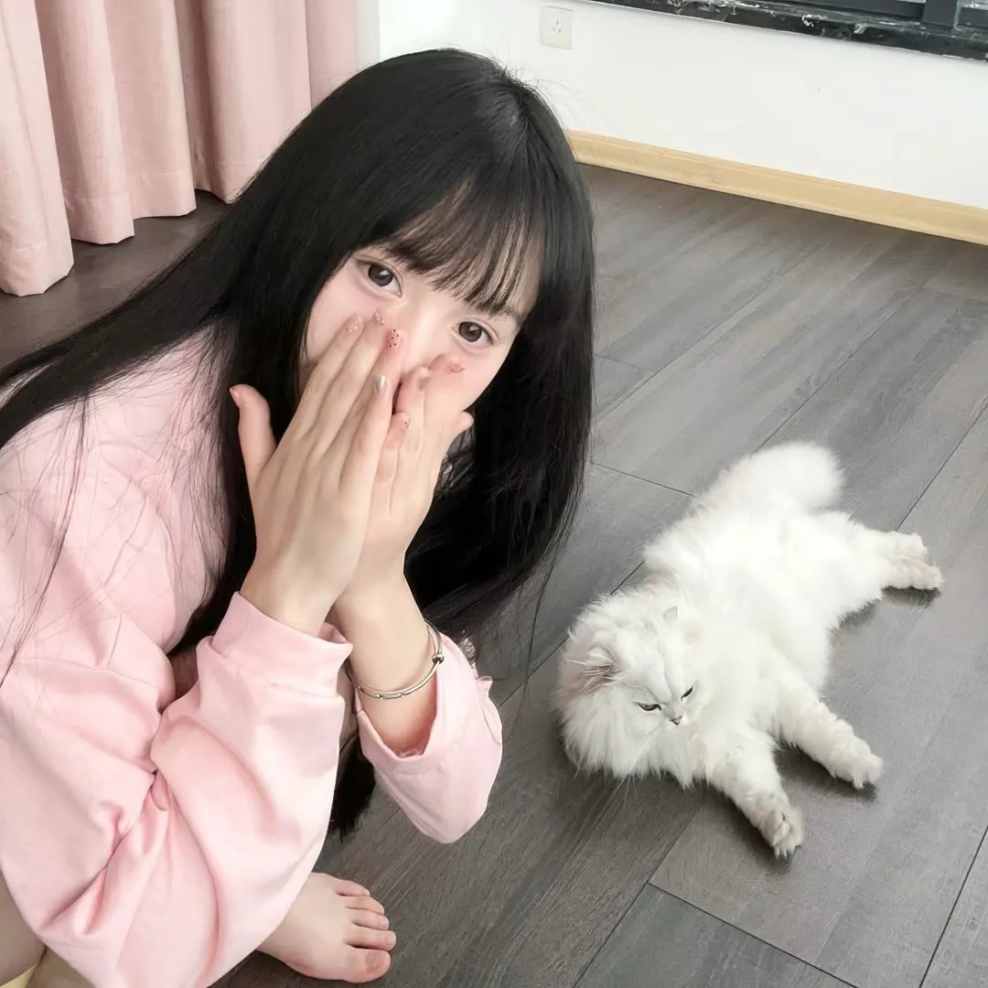 仙女下凡海报