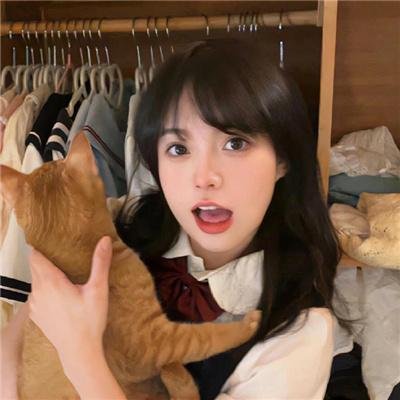 蓝百合海报
